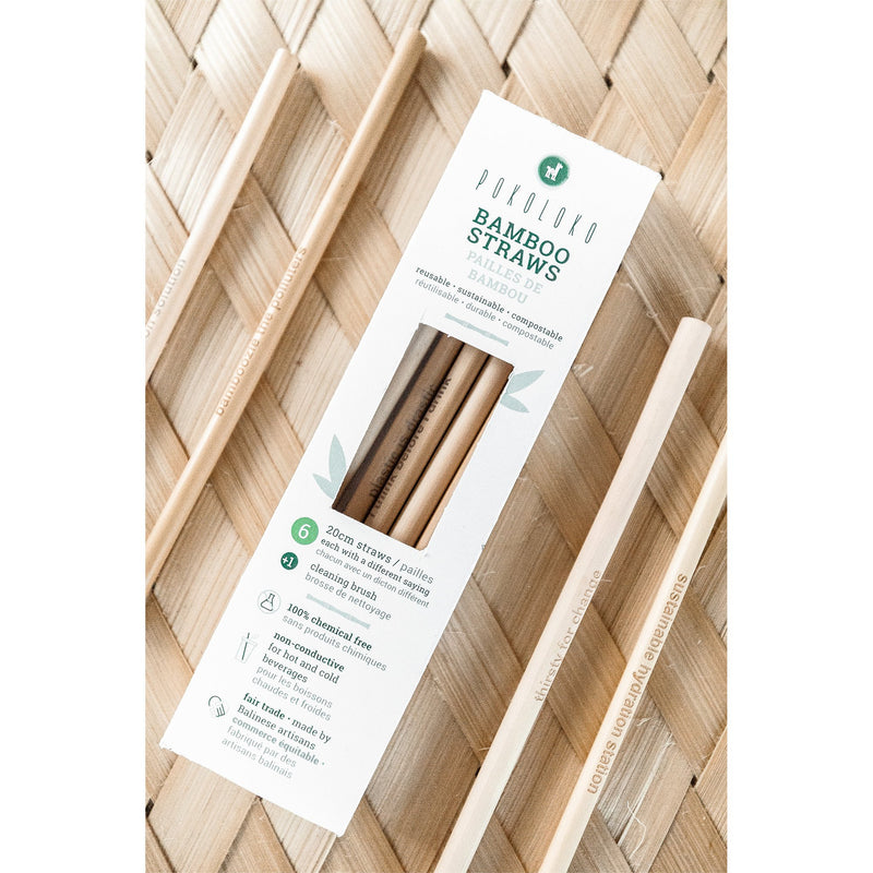 Bamboo Straws - Box of 6